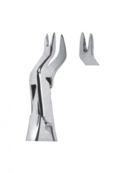 Extracting Forceps